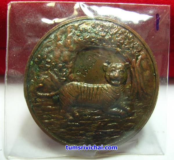 เหรียญเสือนอนกิน เนื้อทองแดง แช่น้ำมันเสือ(1)