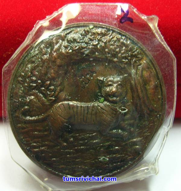 เหรียญพญาเสือนอนกิน เนื้อทองแดง แช่น้ำมันเสือ(2) อาจารย์ประสูติ วัดในเตา