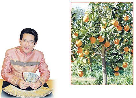 อาจารย์คฑา ชินบัญชร กับต้นไม้มงคลของคนแต่ละปีเกิด