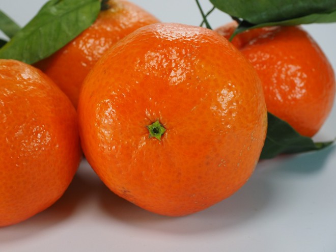 ส้ม ผลไม้มงคลส้มสีทอง นับว่าเป็นผลไม้ยอดนิยมอันดับ1